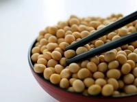 Alimentatia pe baza de soia reduce riscul de a face cancer la san